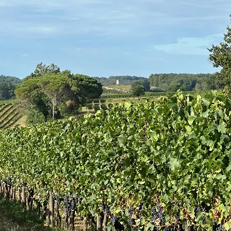 Coeur De Gensac, * Gensac (Gironde)