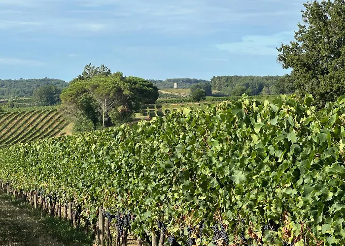 Coeur De Gensac, * Gensac (Gironde)